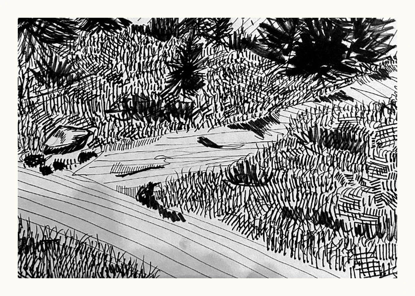 Meadow Edge
