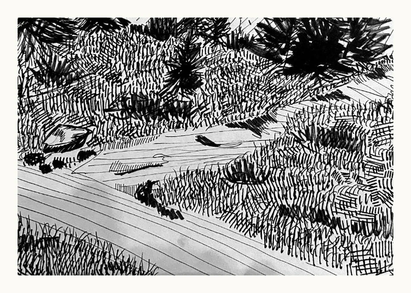 Meadow Edge