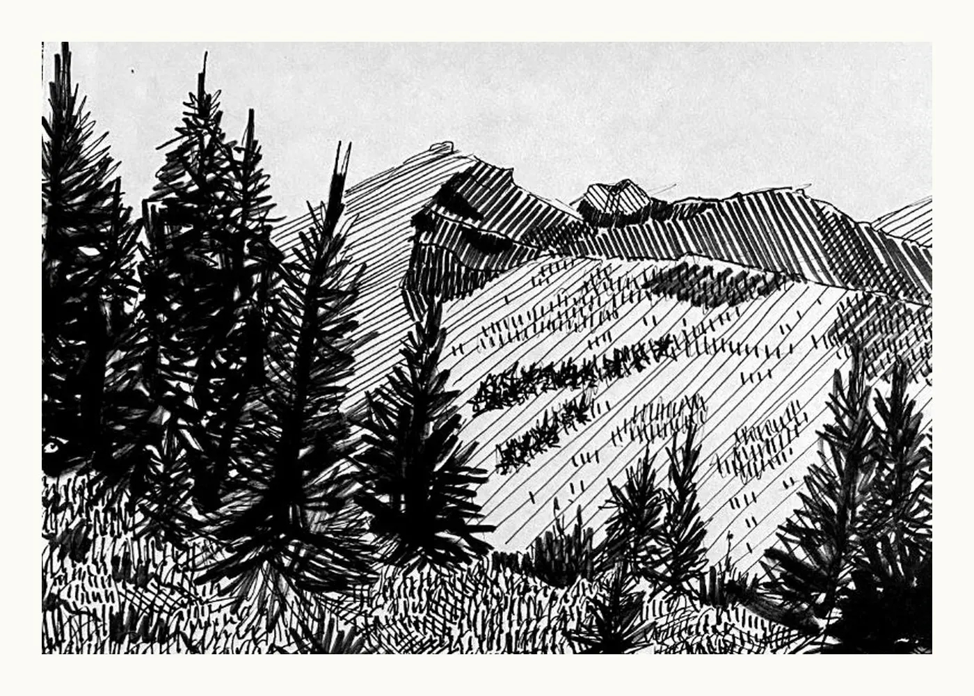 Pines